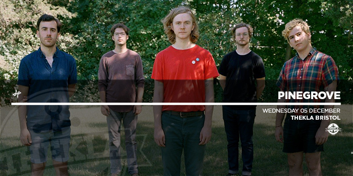 700 Website Pinegrove