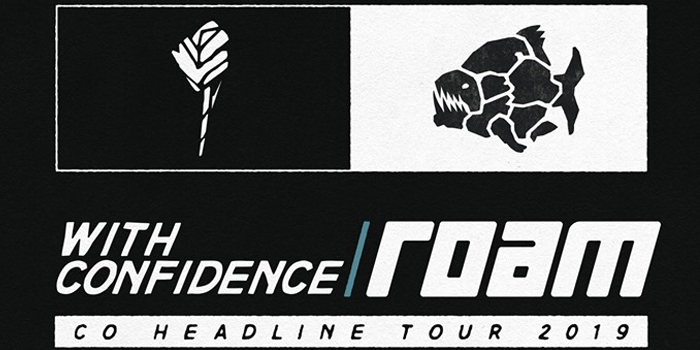 700 Website With Confidence Roam