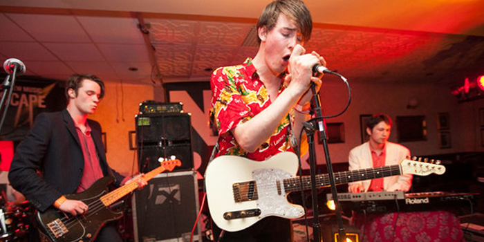 palma violets L