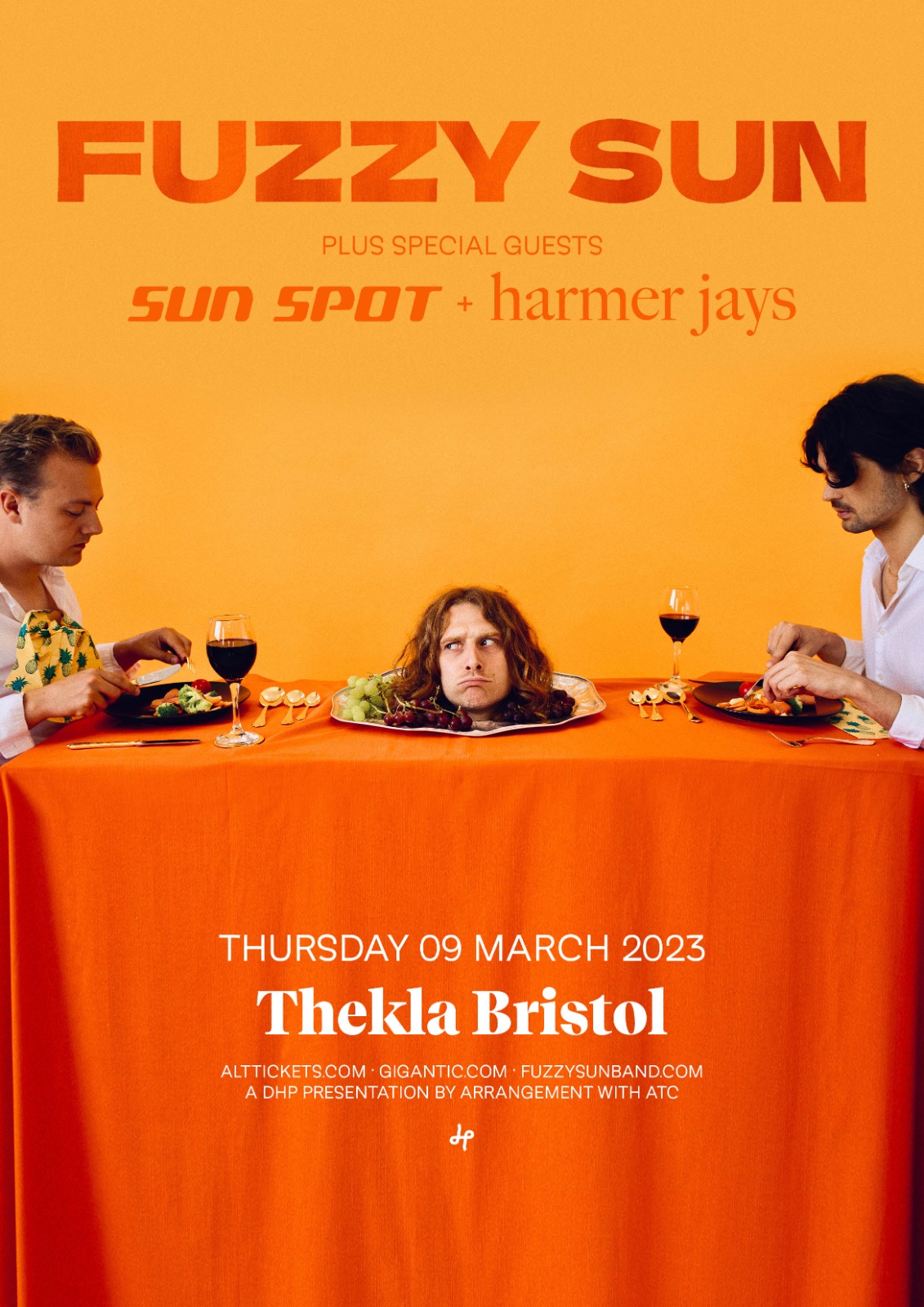 fuzzy-sun-thekla-bristol